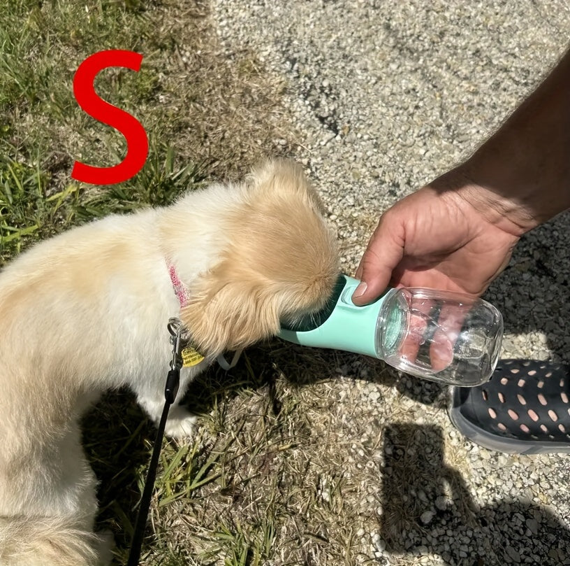 Portable Pet Water Dispenser