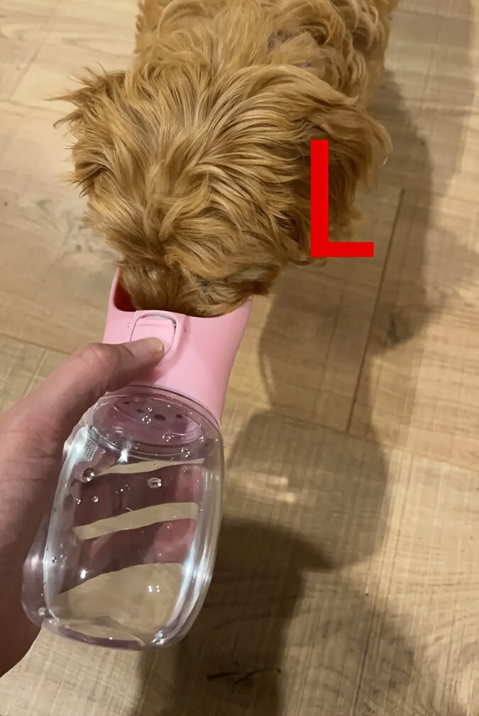 Portable Pet Water Dispenser