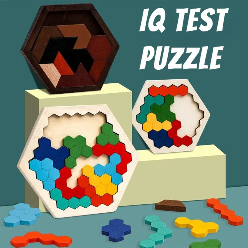 Brain Teaser Hexagonal Wooden Puzzles