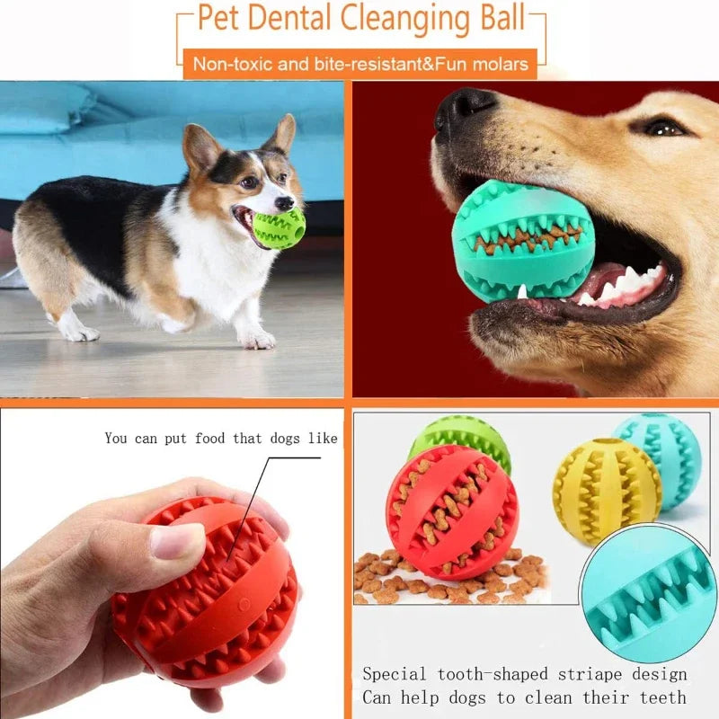 Pet Interactive Silicone Chewing Balls