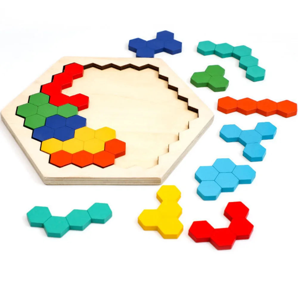 Brain Teaser Hexagonal Wooden Puzzles