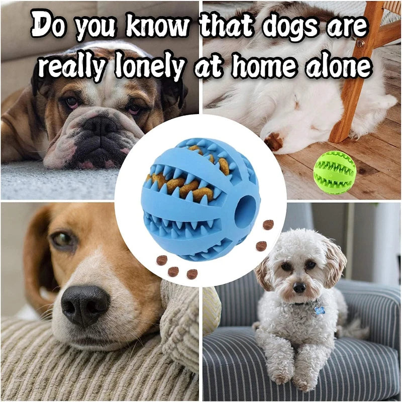 Pet Interactive Silicone Chewing Balls