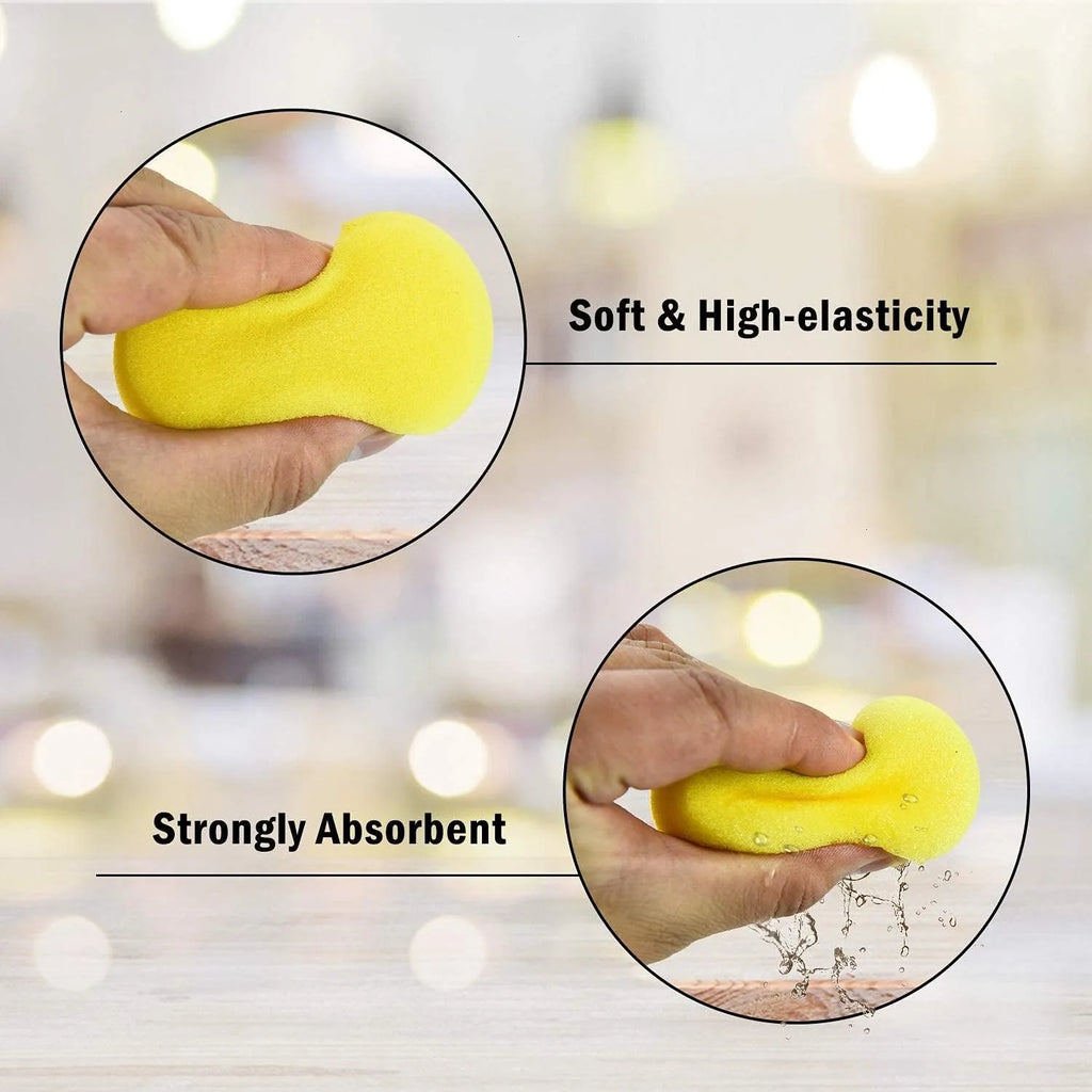 Painting Sponge for Crafts