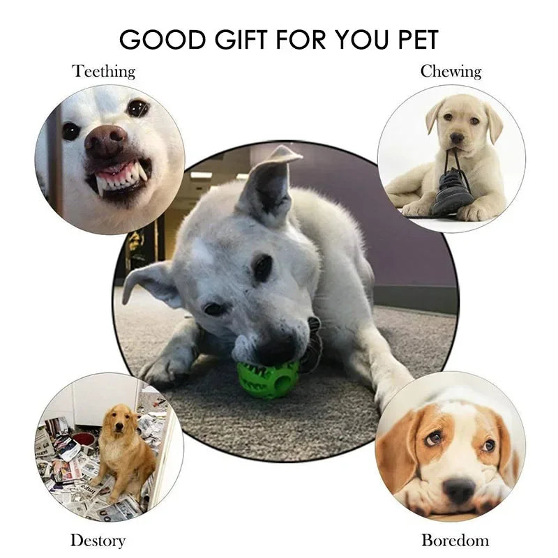 Pet Interactive Silicone Chewing Balls