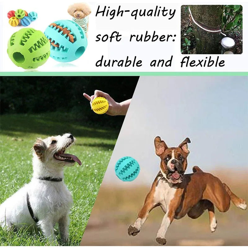 Pet Interactive Silicone Chewing Balls