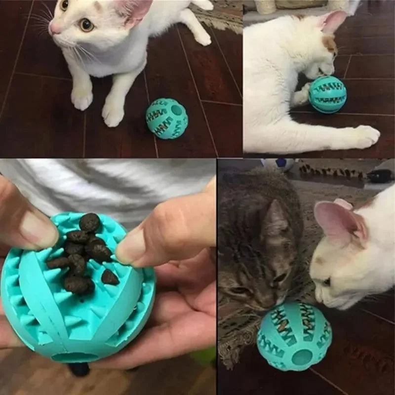 Pet Interactive Silicone Chewing Balls