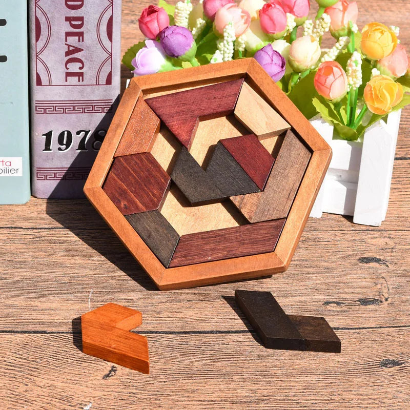 Brain Teaser Hexagonal Wooden Puzzles
