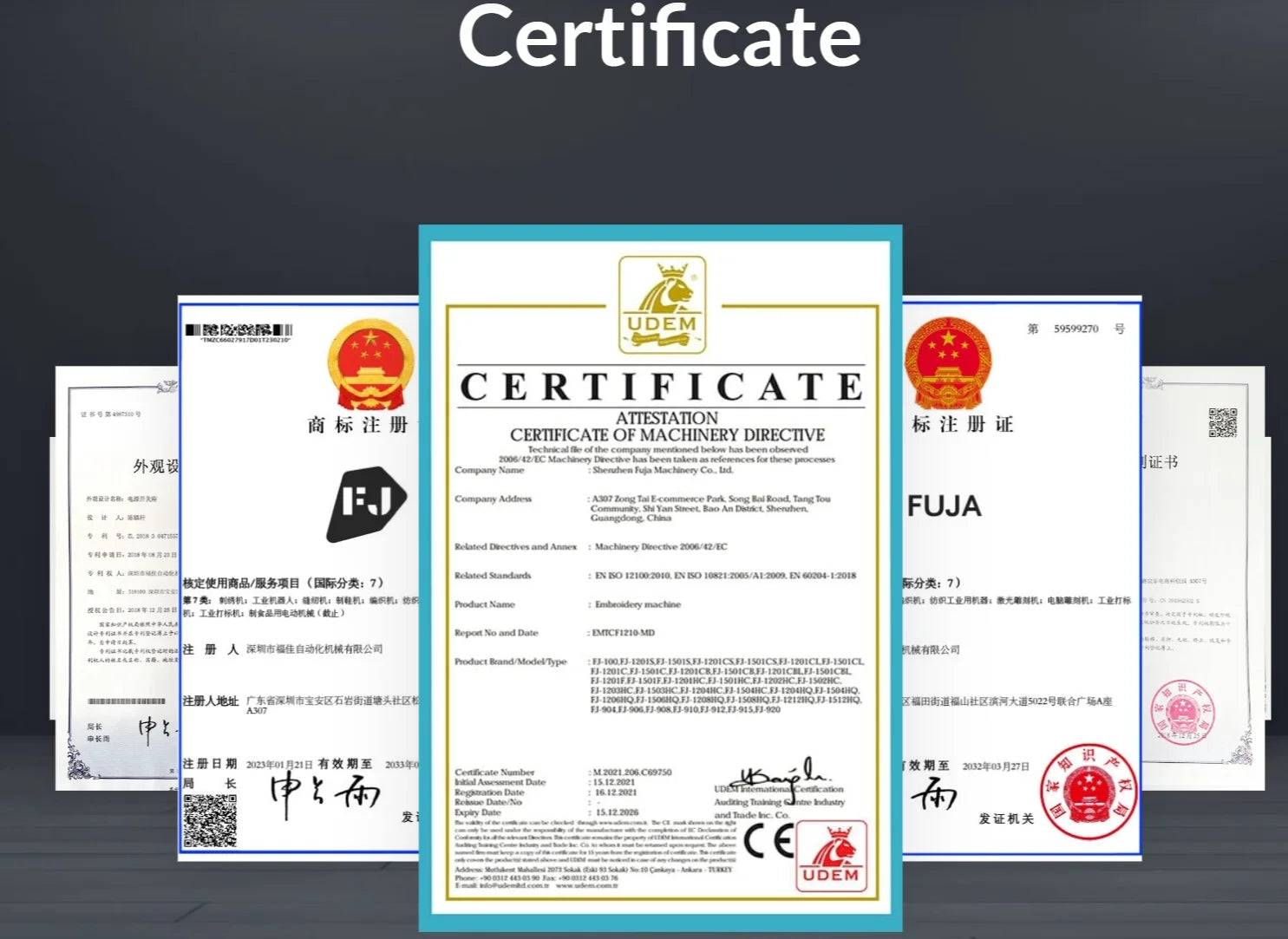 Commercial Embroidery Machine