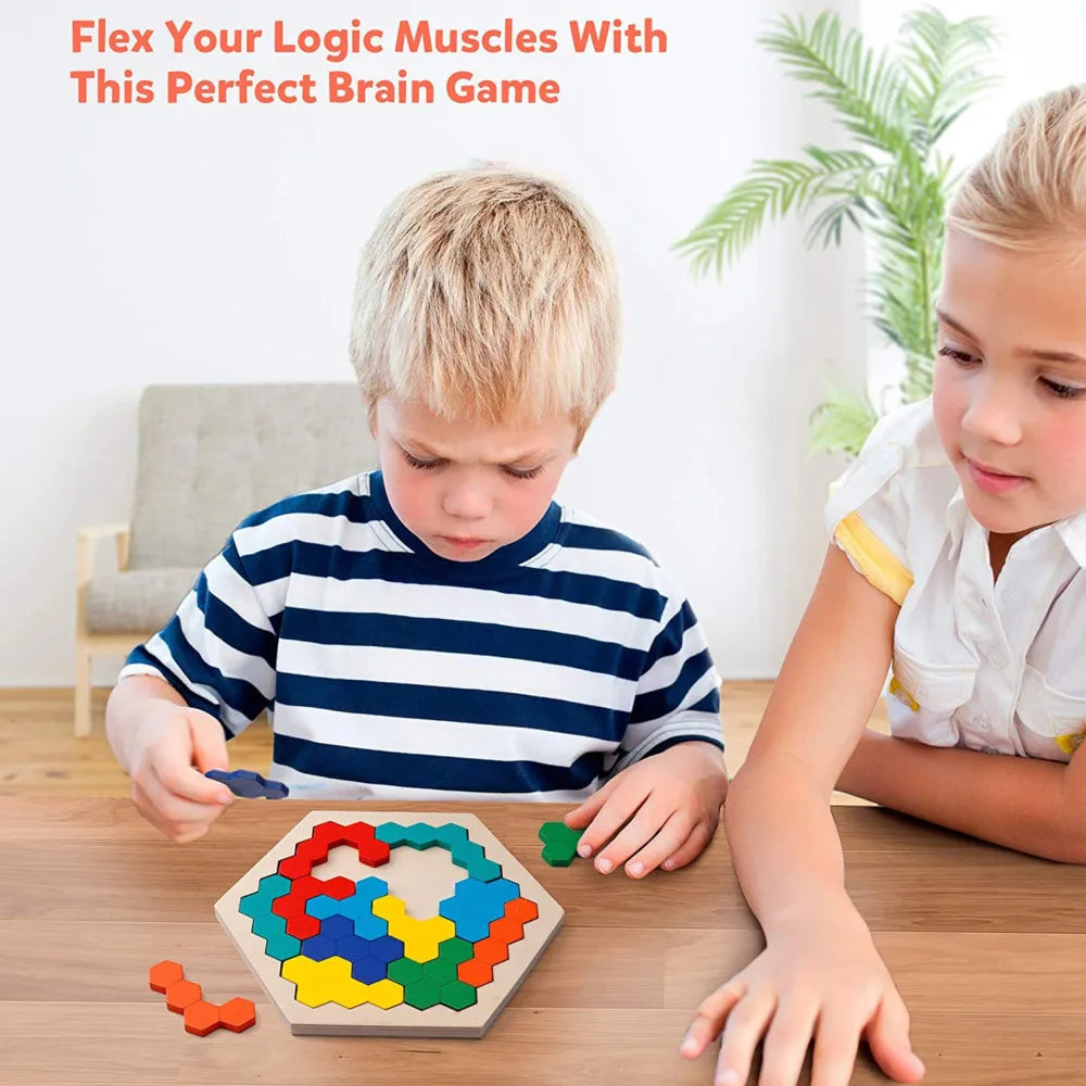 Brain Teaser Hexagonal Wooden Puzzles