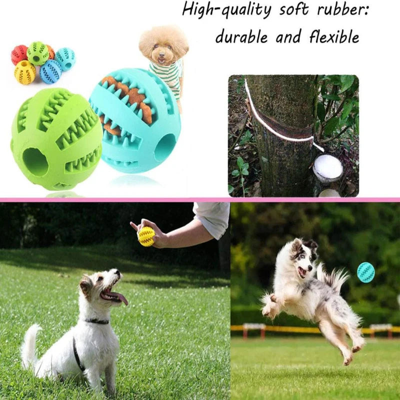 Pet Interactive Silicone Chewing Balls