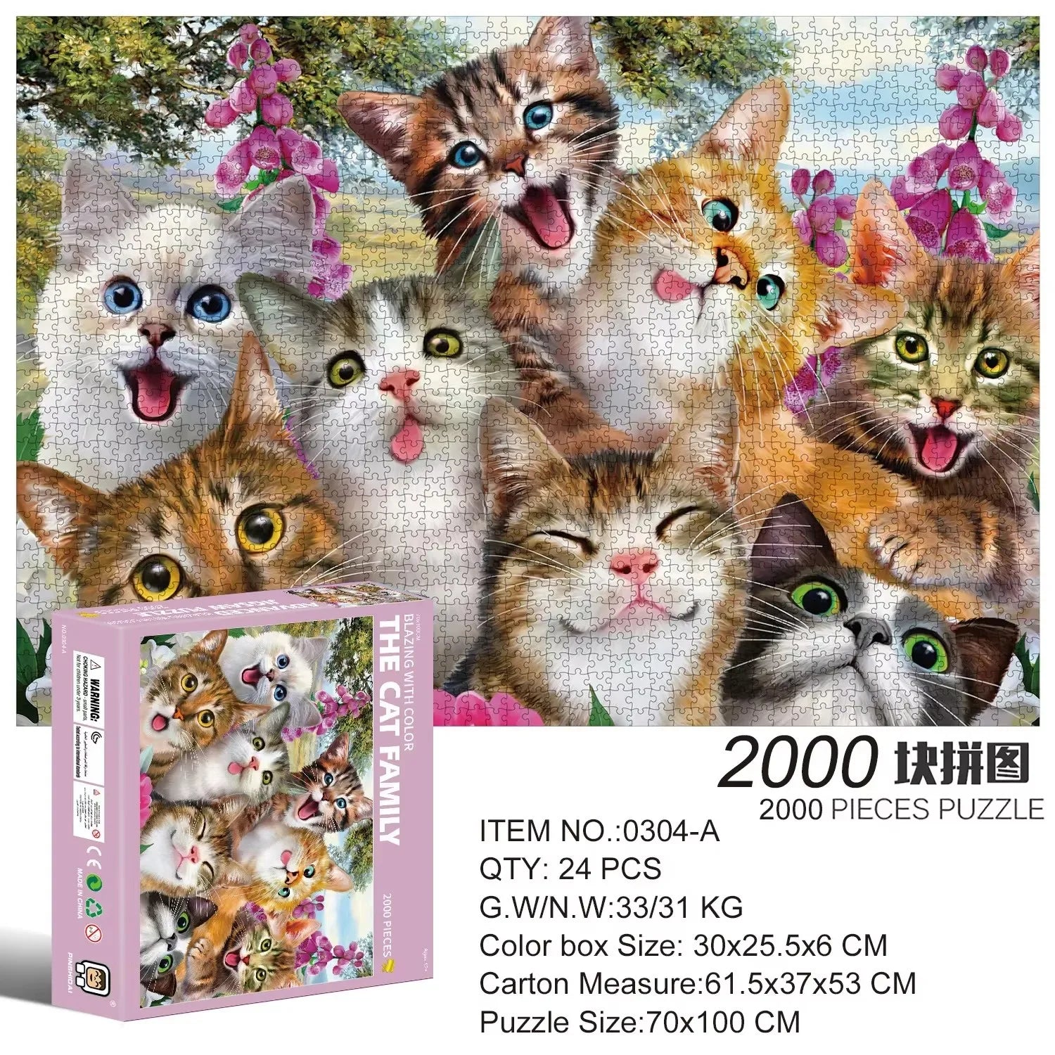2000 Pieces Jigsaw Puzzle - Various Landscape Patterns
