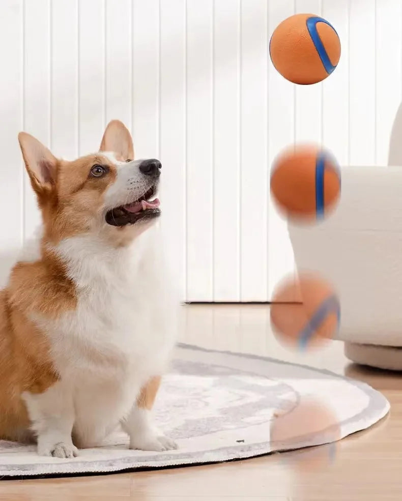 Dog Toy Ball Dog Fetch Ball Toy Tough Pet Ball Puppy Chew Toy Solid Elastic Jumping Ball Pet Accessories For Large Medium Small