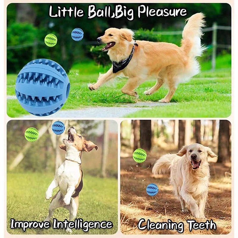 Pet Interactive Silicone Chewing Balls