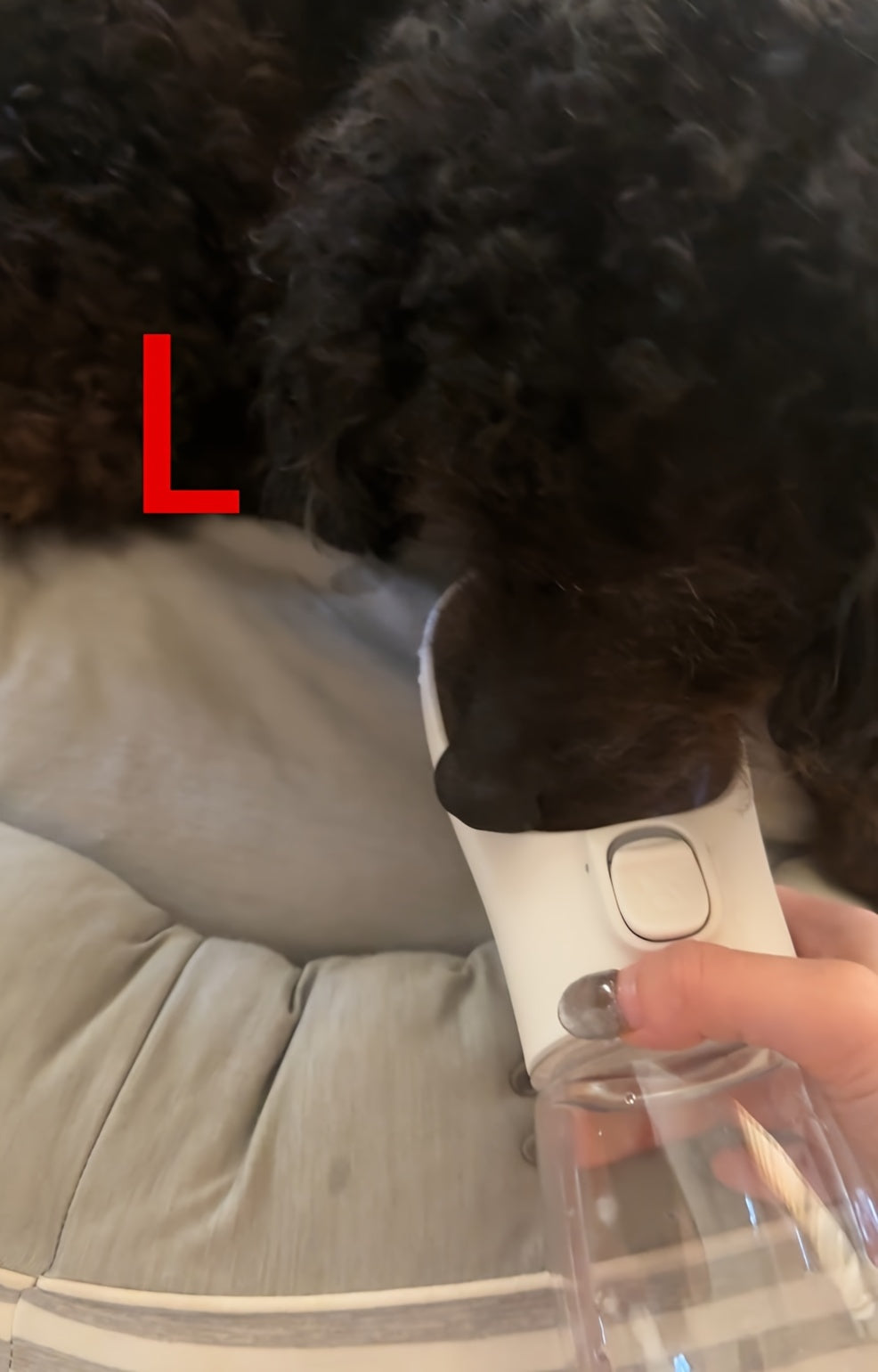 Portable Pet Water Dispenser